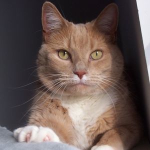 Meet your Posher, Lynne